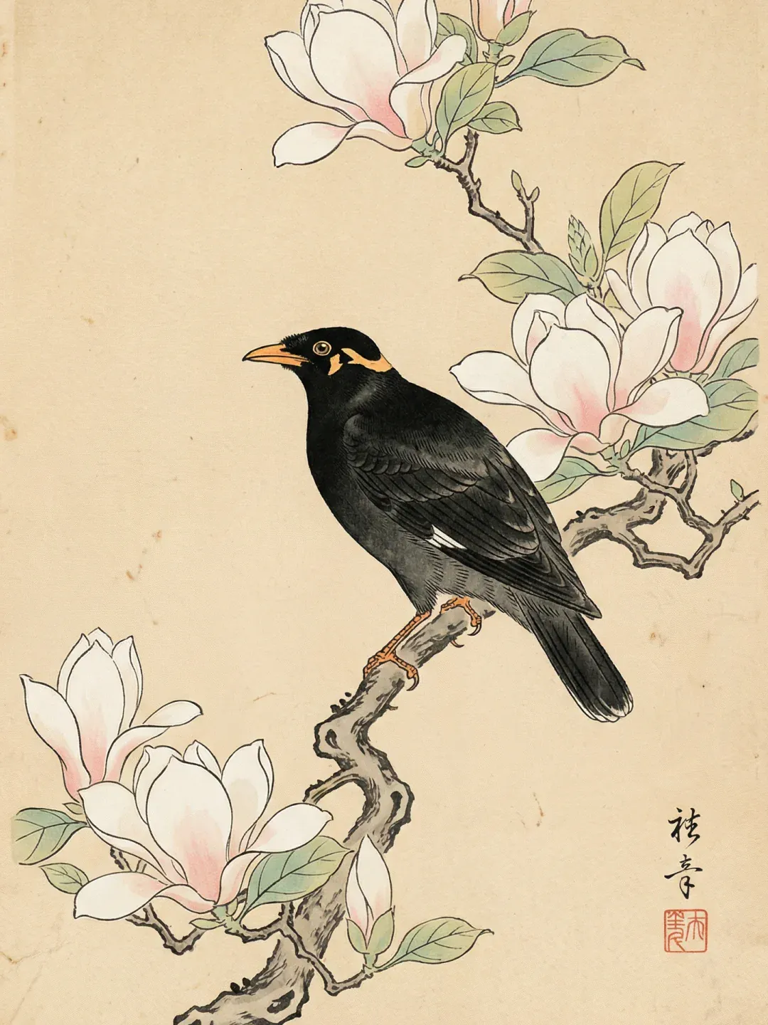 Diamond Painting Amsel bei Magnolie Japan - Image 3
