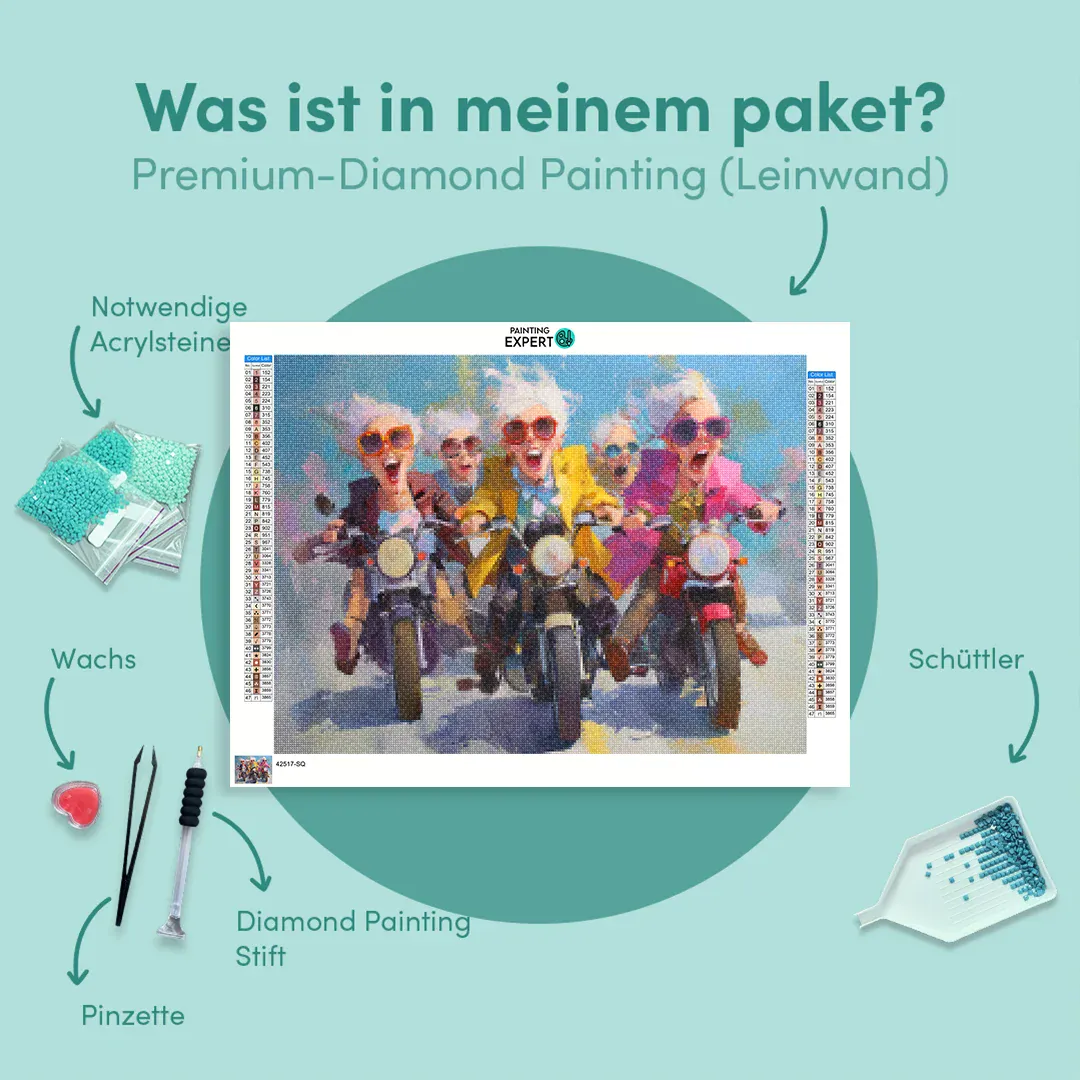 Diamond Painting Gemütliche Damen beim Motorradfahren - Image 6