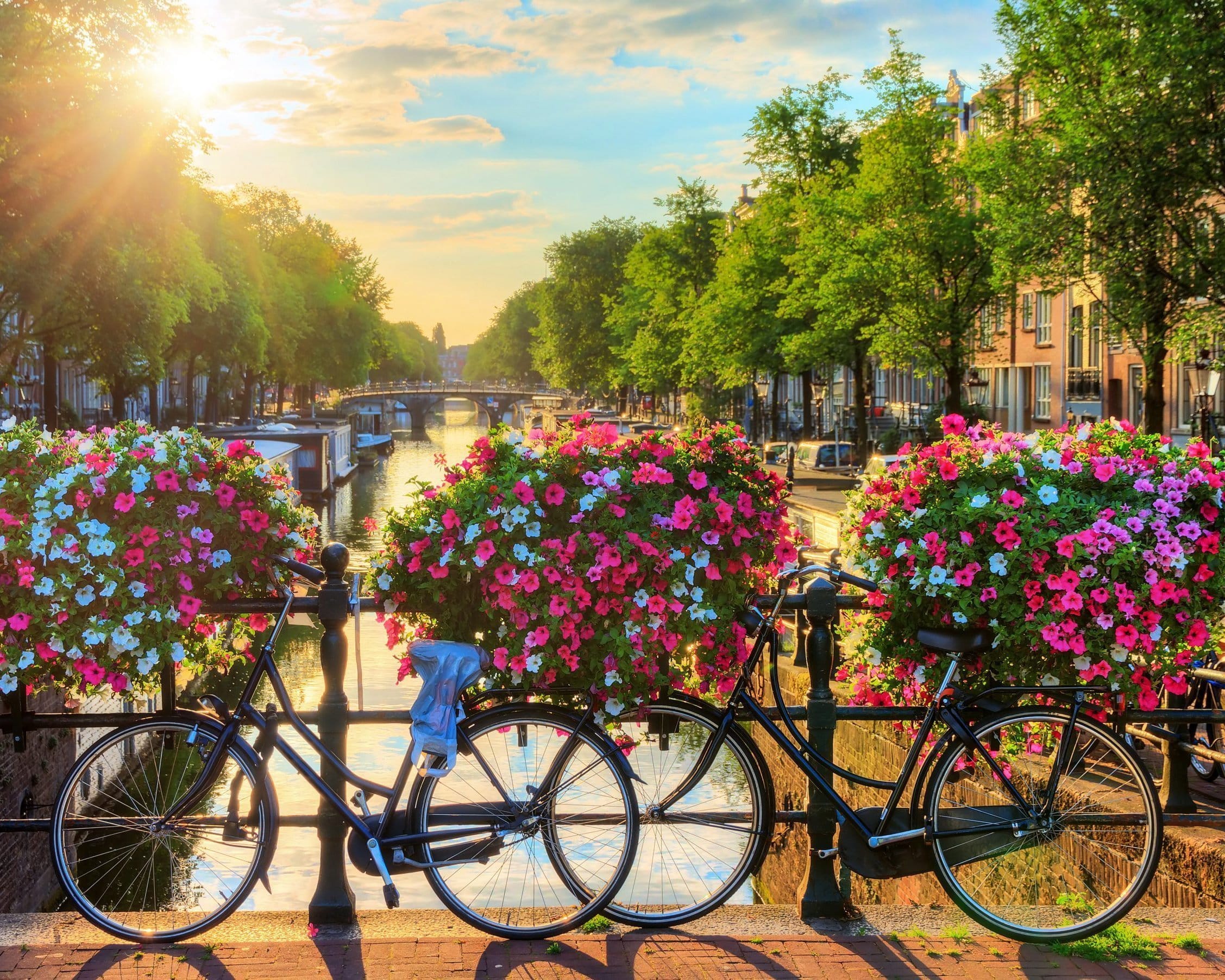 Malen nach Zahlen Amsterdam und Blumen - Image 7