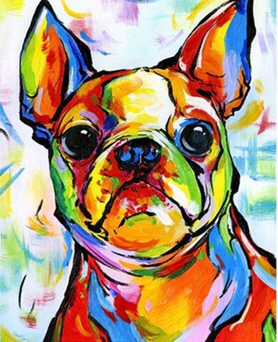 Malen nach Zahlen Bulldog Fröhliche Farben - Image 7