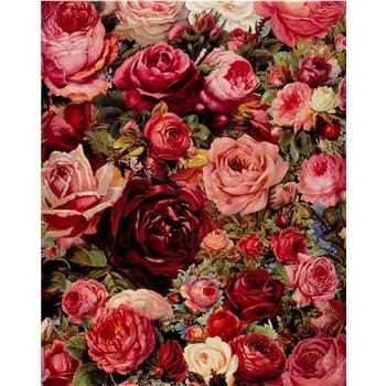 Malen nach Zahlen Bunte Rosen - Image 9
