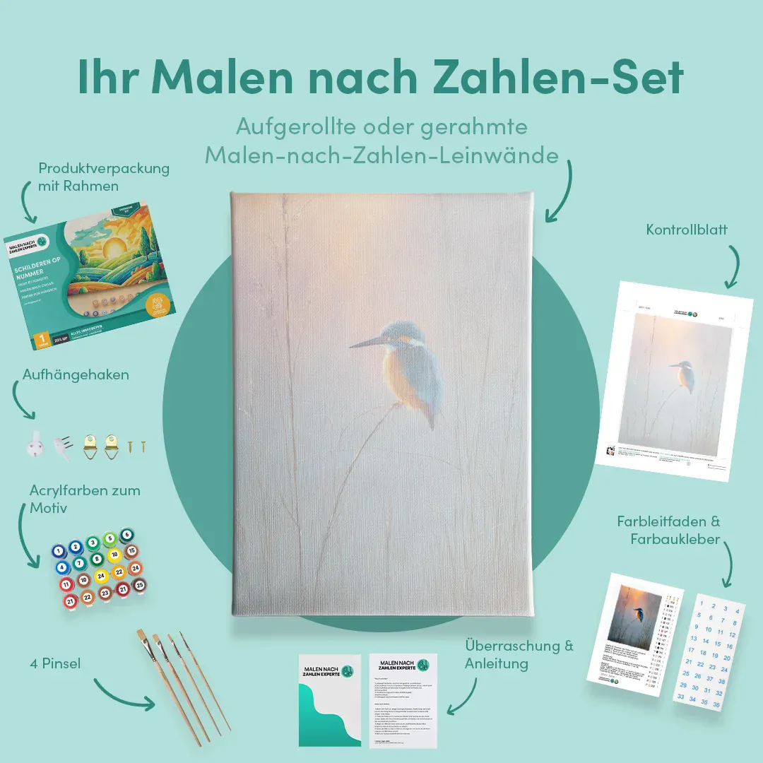 Malen nach Zahlen Eisvogel bei Sonnenaufgang - Image 5