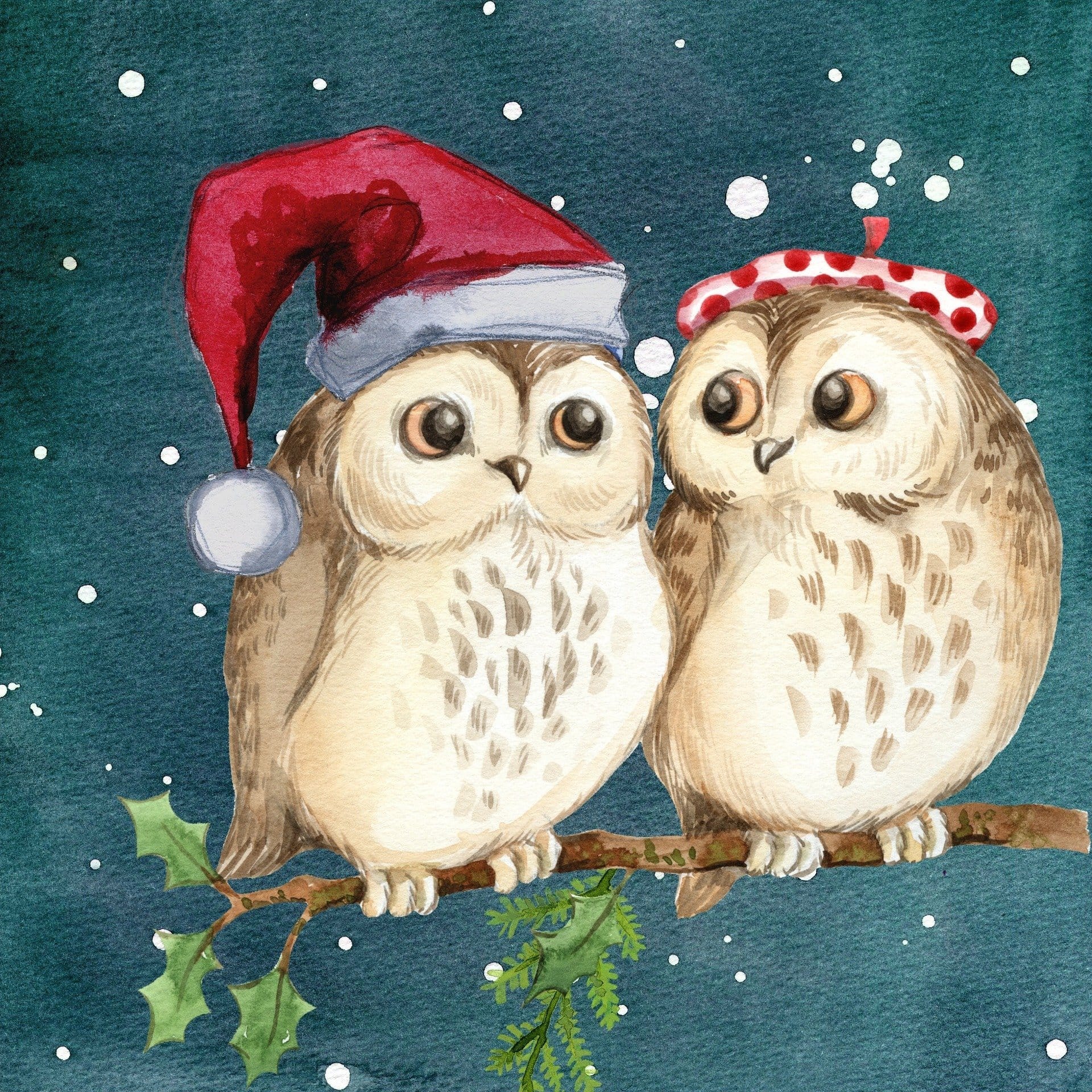 Malen nach Zahlen Eulen Weihnachten - Image 7