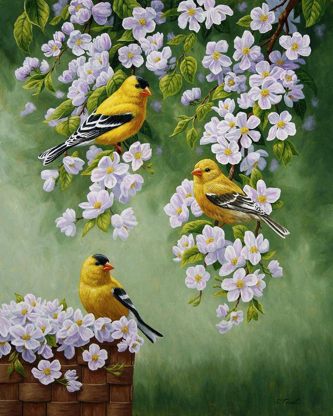 Malen nach Zahlen Gelbe Vögel mit weißen Blumen - Image 7