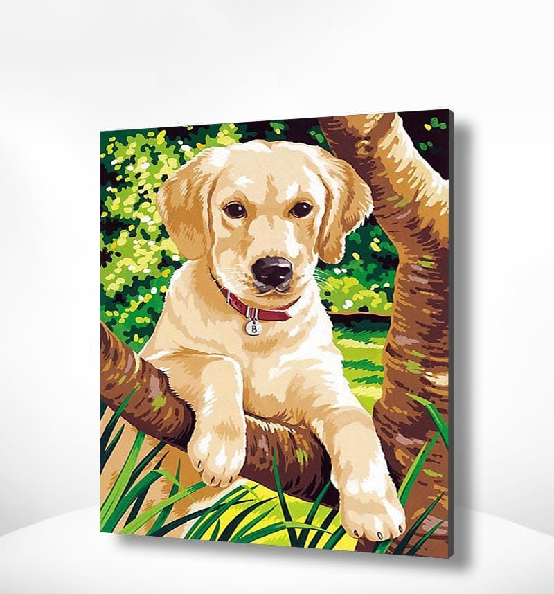 Malen nach Zahlen Puppy Labrador