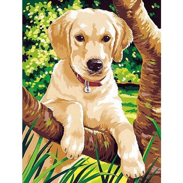 Malen nach Zahlen Puppy Labrador - Image 7