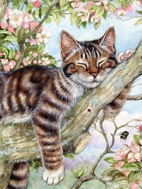 Malen nach Zahlen Schlafende Katze im Baum - Image 7