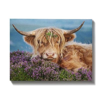 Malen nach Zahlen Schottischer Highlander mit Blumen - Image 7