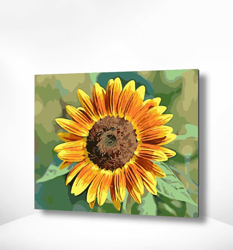 Malen nach Zahlen Sonnenblume Gelb Orange