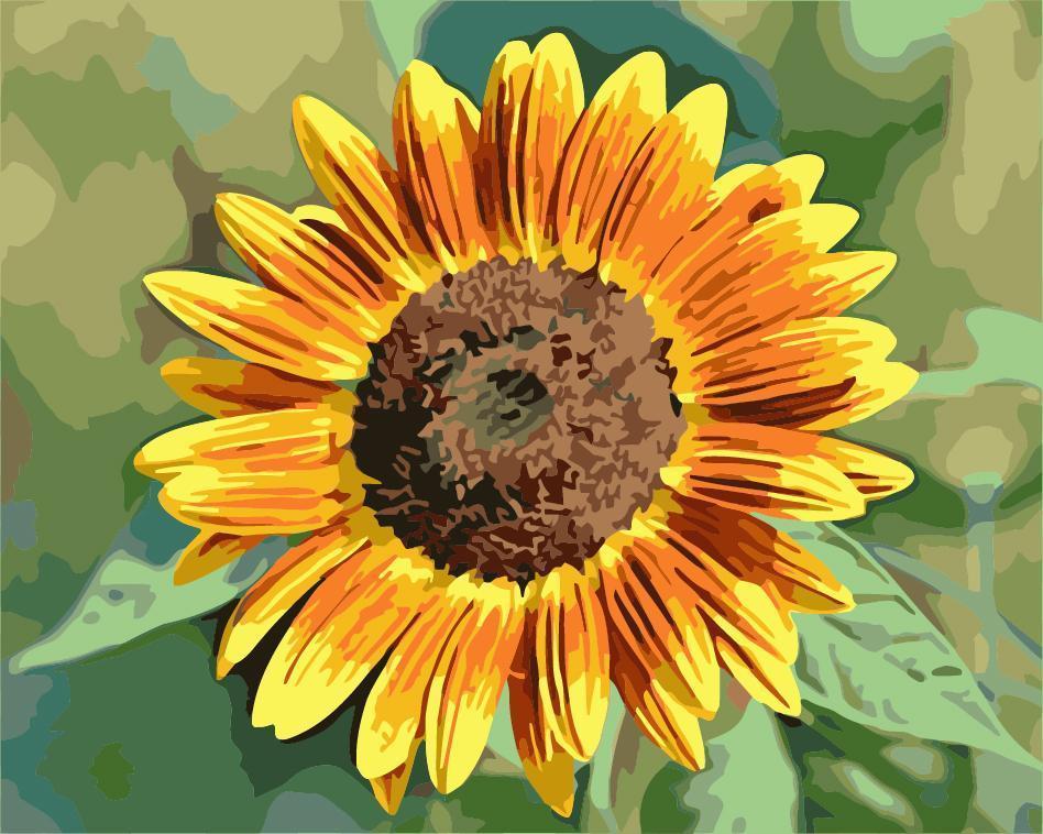 Malen nach Zahlen Sonnenblume Gelb Orange - Image 7