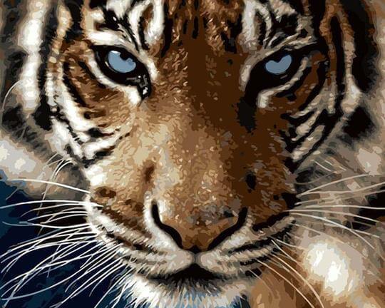 Malen nach Zahlen Tiger mit blauen Augen - Image 7